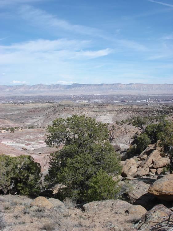 A scenic view of layered rock formations and sparse vegetation, with a large tree in the foreground. The landscape stretches out towards distant mountains under a clear blue sky, creating a serene and natural desert environment. Lunch Loops mountain bike trail.