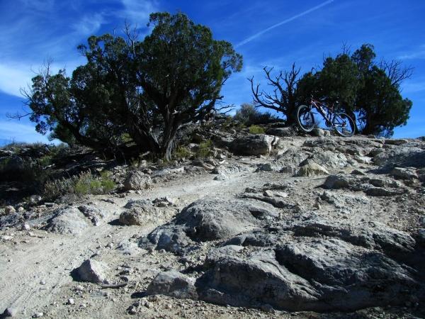 Mountain biking trail with rocky terrain and sparse vegetation, featuring a bicycle parked next to a tree under a clear blue sky. Lunch Loops mountain bike trail.