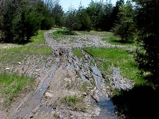 A muddy pathway through a wooded area, showing tire tracks and patches of grass surrounded by trees. The ground is wet and uneven, indicating recent rain or poor drainage.