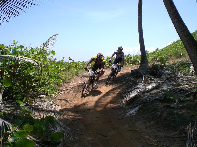 Two mountain bikers racing on a dirt trail surrounded by lush greenery and palm trees under a clear blue sky. One biker wears a yellow and black jersey, while the other is in a gray jersey. Both have race numbers attached to their bikes. Cerro Gordo Trail mountain bike trail.