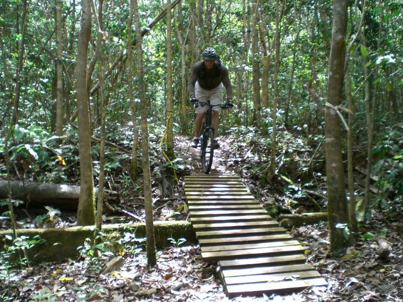 A mountain biker navigating a wooden bridge in a dense forest, surrounded by trees and lush greenery. The rider is airborne, showcasing an action shot of mountain biking in a natural environment. Monagas mountain bike trail.
