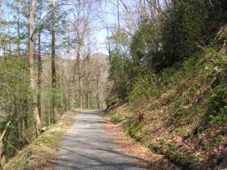 A gravel path winding through a wooded area, flanked by trees and shrubs, with a clear blue sky above and light sunlight filtering through the branches. Grundy Bike Trail mountain bike trail.