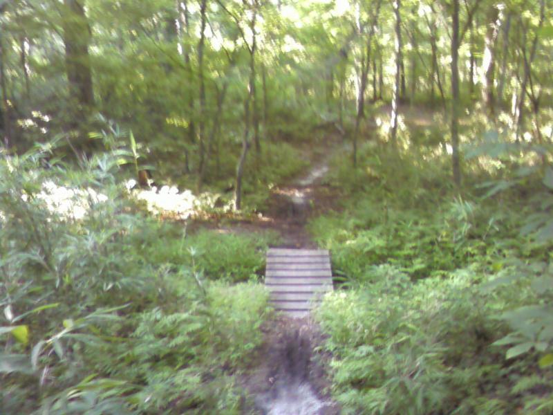 A wooden bridge spans a small path in a lush, green forest. Sunlight filters through the trees, illuminating the dense foliage on either side of the trail. The scene conveys a peaceful and serene atmosphere, ideal for nature walks. Indian River Park mountain bike trail.