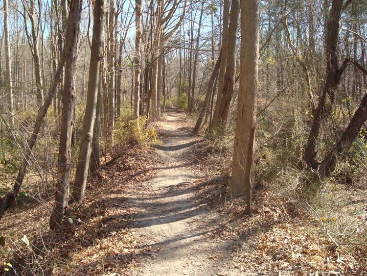 A winding dirt path through a wooded area, surrounded by bare trees and sparse underbrush, under a clear blue sky. The ground is covered with fallen leaves, and the trail gently curves into the distance. Indian River Park mountain bike trail.