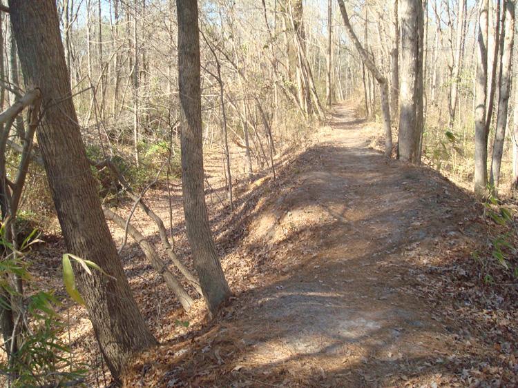 A narrow, winding dirt trail surrounded by tall trees with bare branches, showing signs of autumn as leaves cover the ground. The path is flanked by a slight elevation on either side, leading through a peaceful wooded area. Indian River Park mountain bike trail.