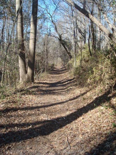 A narrow, winding dirt path through a wooded area, lined with bare trees and scattered fallen leaves, under a clear blue sky. Indian River Park mountain bike trail.