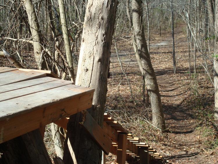 A wooden platform overlooking a winding dirt path surrounded by trees in a forest during winter. The ground is covered with fallen leaves, and the scene is lit by natural sunlight. Indian River Park mountain bike trail.