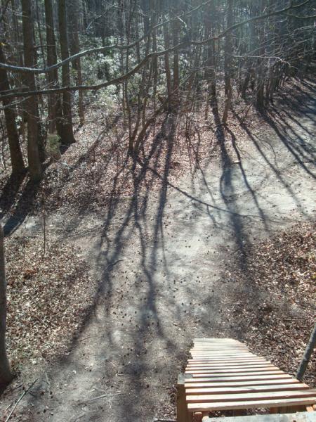 A dirt pathway meandering through a wooded area, with trees providing dappled sunlight and long shadows on the ground. The scene is tranquil, highlighting the natural beauty of the forest. Indian River Park mountain bike trail.