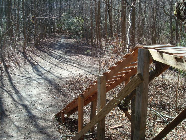 A wooden stairway leading down from a pathway in a forested area, surrounded by bare trees and scattered leaves on the ground, with a narrow trail visible in the background. Indian River Park mountain bike trail.