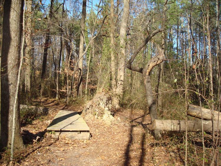 A wooden pathway leading through a wooded area, surrounded by tall trees and fallen logs. The ground is covered with leaves, indicating a natural forest environment on a clear day. Indian River Park mountain bike trail.