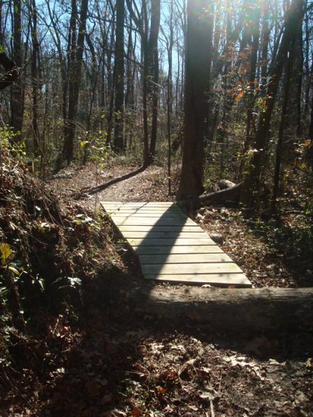 A wooden footbridge crossing a small clearing in a forest, surrounded by trees with scattered autumn leaves. Sunlight filters through the branches, casting shadows on the pathway. Indian River Park mountain bike trail.