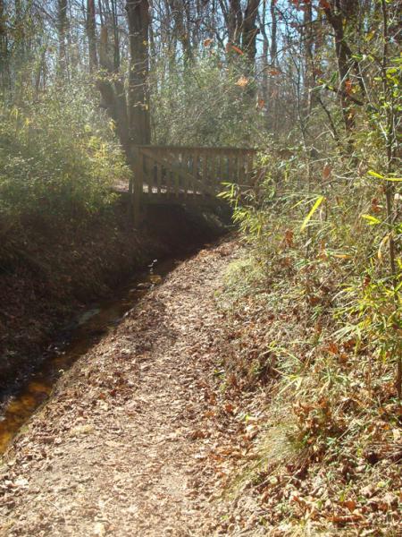 A wooded path lined with autumn foliage, leading to a small wooden bridge over a shallow stream. Sunlight filters through the trees, casting a warm glow on the surroundings. Indian River Park mountain bike trail.