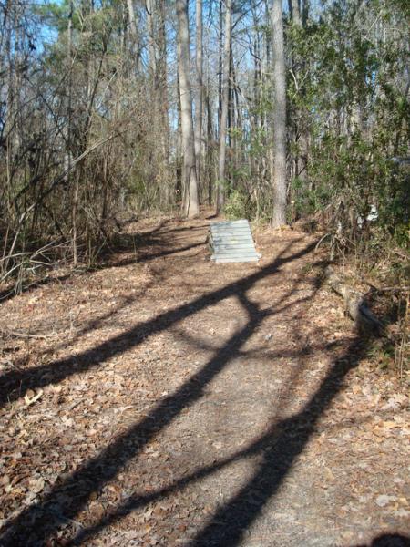 A narrow dirt path winding through a wooded area, with tall trees on either side. The ground is covered in fallen leaves, and a small, weathered ramp made of metal is visible off to the side of the trail. Shadows of the trees stretch across the path, creating a dappled light effect. Indian River Park mountain bike trail.