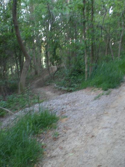 A winding dirt path through a lush green forest, bordered by tall trees and patches of grass, leading into a serene wooded area. Harrisburg Half mountain bike trail.
