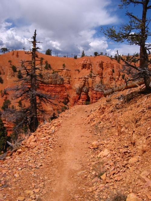 A narrow dirt path winds through a vibrant orange and red rocky landscape, surrounded by rugged cliffs and sparse trees. The sky above is partly cloudy, adding depth to the vibrant colors of the terrain. Thunder Mountain mountain bike trail.