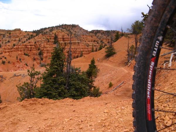 A close-up view of a mountain bike wheel in the foreground, set against a vast landscape of red rock formations and pine trees. The trail winds through the rugged terrain, leading towards distant hills under a cloudy sky. Thunder Mountain mountain bike trail.