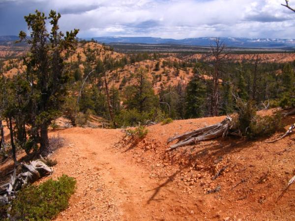 A winding dirt trail cuts through a rugged landscape of reddish soil and scattered pine trees, leading through hills and valleys under an expansive, cloudy sky. The scene captures a serene natural environment with distant mountains visible in the background. Thunder Mountain mountain bike trail.