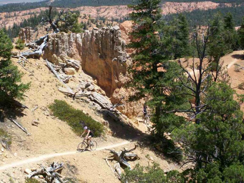 Two mountain bikers navigate a dirt trail through a rugged landscape featuring trees, exposed rock formations, and a backdrop of colorful cliffs. The scene captures the beauty of an outdoor adventure setting, with greenery contrasting against the sandy hues of the terrain. Thunder Mountain mountain bike trail.