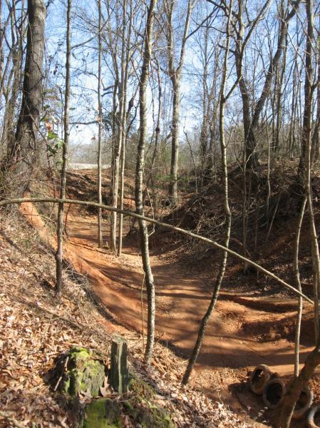 A winding dirt path through a wooded area, surrounded by tall, bare trees and scattered fallen leaves. The ground shows signs of erosion, and old tires are partially visible on the side of the trail. The sky is clear and blue, indicating a sunny day. 441 Trails mountain bike trail.