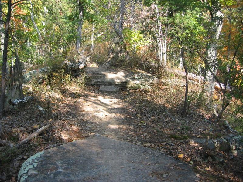 A natural outdoor pathway winding through a forest, featuring a large rock slab in the foreground and lush greenery surrounding the trail. Sunlight filters through the trees, casting shadows on the path. Raccoon Mountain Trail Network mountain bike trail.