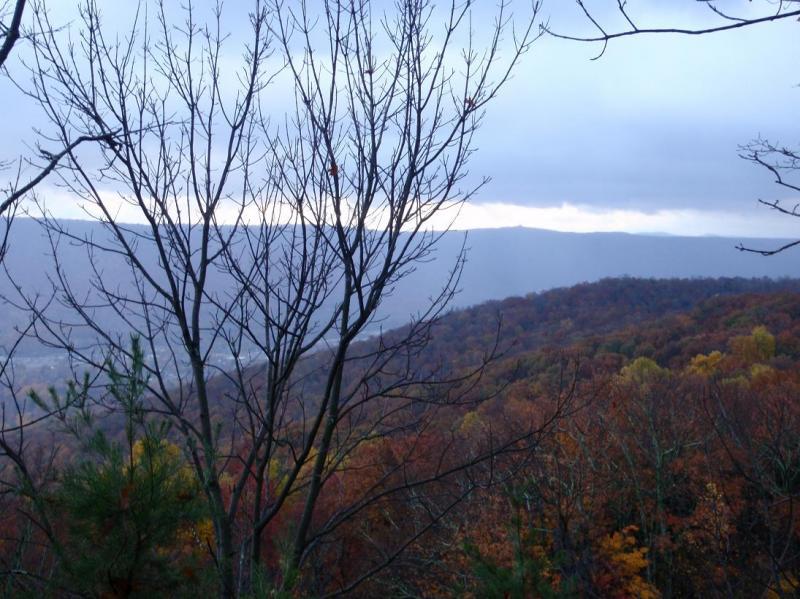 A scenic view of a forested landscape in autumn, with bare branches in the foreground and rolling hills covered in colorful foliage in the background. The sky is overcast, creating a moody atmosphere. Raccoon Mountain Trail Network mountain bike trail.