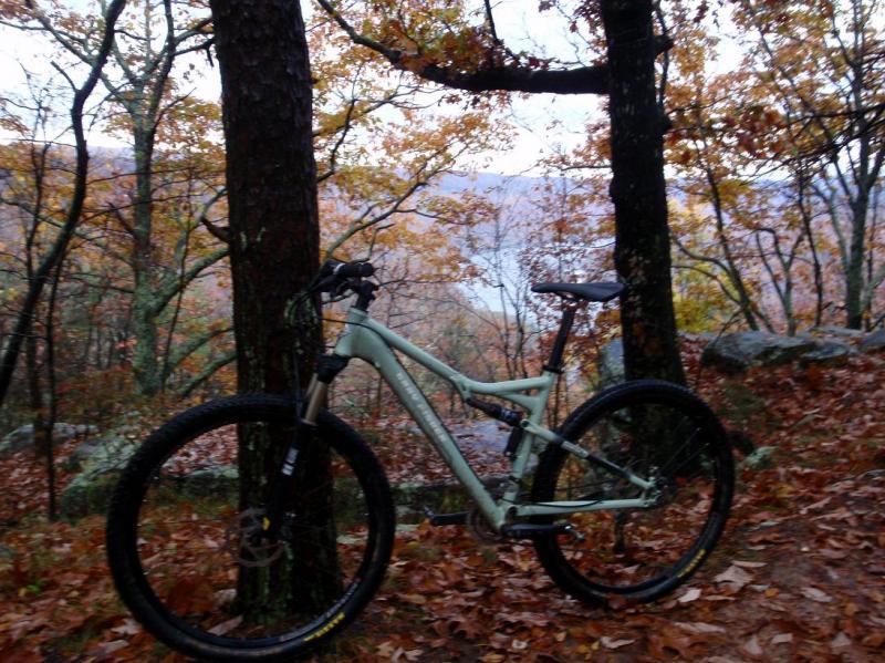 A mountain bike positioned between two trees in a forest during autumn, with colorful leaves scattered on the ground and a scenic view in the background. Raccoon Mountain Trail Network mountain bike trail.