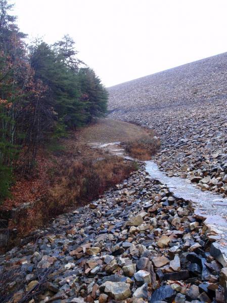 A rocky landscape with a narrow stream running through it, flanked by sparse vegetation and trees on one side. In the background, a steep, rocky slope rises, partially covered by fog or overcast skies, suggesting a rugged natural setting. Raccoon Mountain Trail Network mountain bike trail.