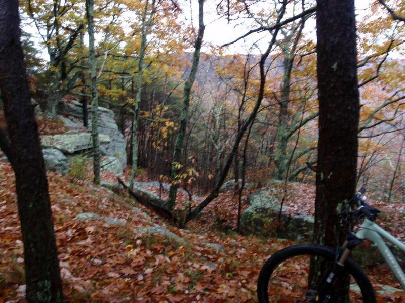 A mountain bike parked beside a trail surrounded by autumn foliage, with trees displaying yellow and orange leaves, rocky outcrops in the background, and a scenic view of a valley below. Raccoon Mountain Trail Network mountain bike trail.