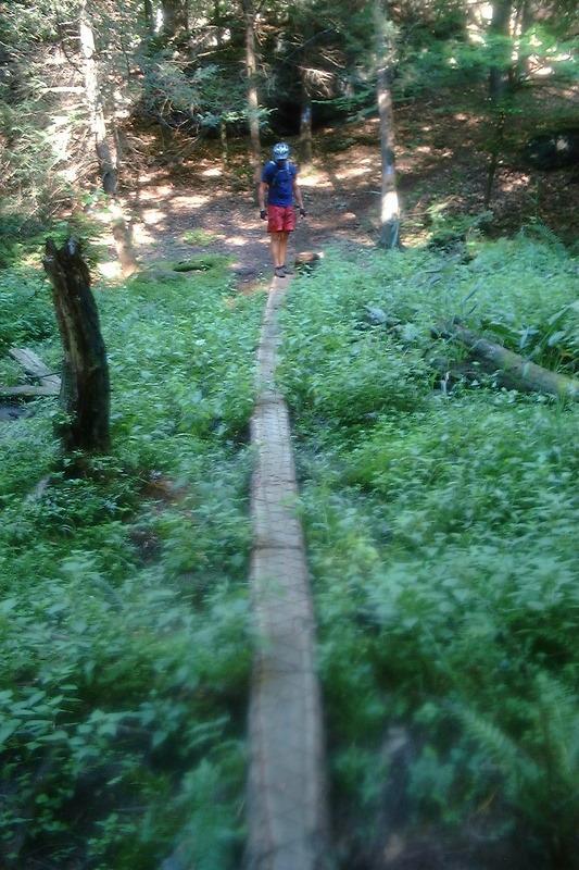 A person walking along a wooden plank trail through a lush green forest, surrounded by trees and dense underbrush. The individual is wearing a helmet and casual clothing, and the scene captures the natural beauty and tranquility of the woodland environment. Sunny Valley mountain bike trail.