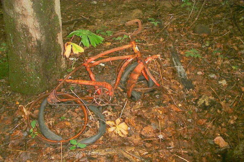 A rusty, old bicycle frame partially covered in leaves and debris, lying on the ground beside a tree in a wooded area. The tires are deflated and the surrounding ground is littered with fallen leaves and twigs. Middlesex Community College mountain bike trail.