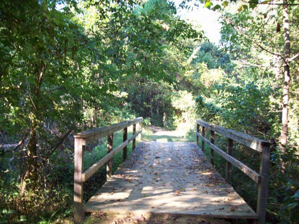 A wooden bridge leads into a serene forest path, surrounded by lush greenery and dappled sunlight filtering through the leaves. Fallen leaves cover the bridge, indicating the transition of seasons. Roanoke Canal Arts Trail mountain bike trail.