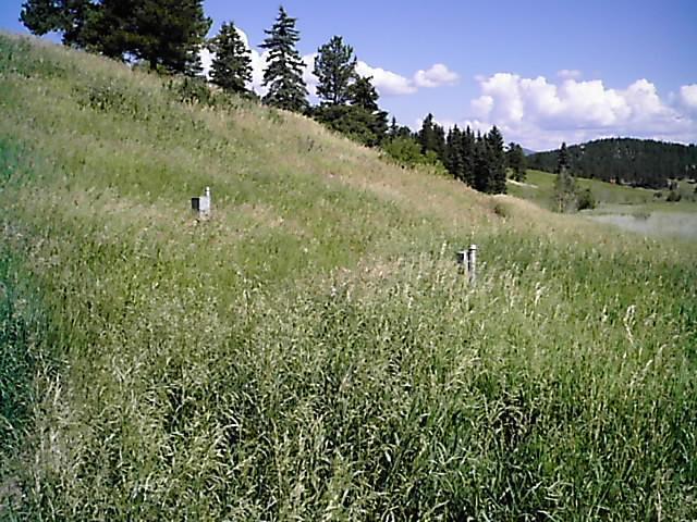 A grassy hillside with tall green grass and scattered trees under a blue sky with clouds. In the foreground, two markers are visible amidst the vegetation. Flying J Ranch mountain bike trail.
