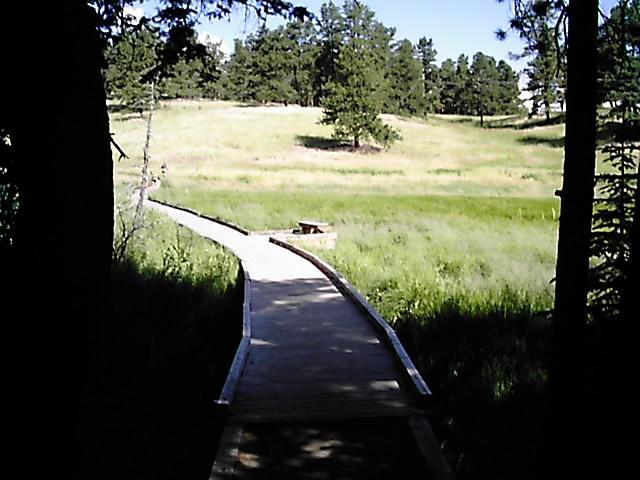 A winding wooden pathway leads through a natural landscape, flanked by trees and tall grass, with a meadow visible in the distance under a clear blue sky. Flying J Ranch mountain bike trail.