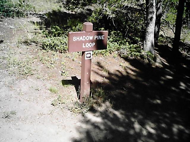 Sign for the Shadow Pine Loop trail, situated in a natural area with greenery and trees in the background. The sign is brown with white lettering and includes a symbol for trail guidance. Flying J Ranch mountain bike trail.