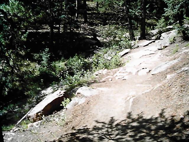 A rocky trail winding through a wooded area, surrounded by lush green vegetation and large stones. Sunlight filters through the trees, creating dappled shadows on the path. Flying J Ranch mountain bike trail.
