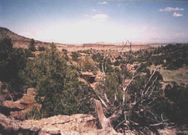 A scenic view of a wide open landscape featuring rolling hills and sparse vegetation, with a mix of green trees and rocky formations under a clear blue sky. The horizon stretches into the distance, showcasing a vast, natural environment typical of a rugged terrain. Limekiln mountain bike trail.