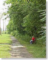 A peaceful outdoor scene featuring a scenic path lined with lush greenery. A person in a red shirt is seated on a bench near the edge of the path, surrounded by trees and foliage. The atmosphere conveys a sense of tranquility and connection with nature. Clark County Park In Berryville mountain bike trail.