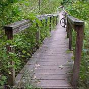 A wooden boardwalk surrounded by lush greenery, leading through a natural path with a bicycle leaning against the railing at the side. Linear Park mountain bike trail.