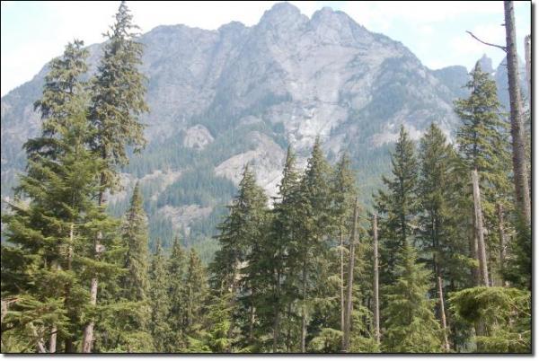 A forested landscape with tall evergreen trees in the foreground and a rocky mountain range in the background, partially covered by clouds. The scene captures the beauty of nature, highlighting the contrast between the dense trees and the rugged mountain terrain. Middle Fork Snoqualmie mountain bike trail.