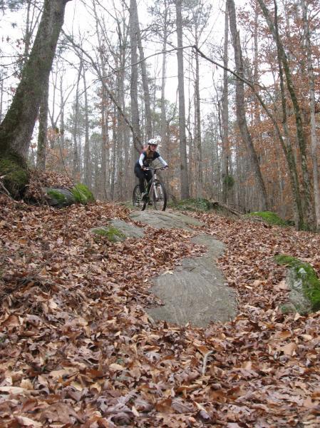 A mountain biker navigating a rocky trail covered with fallen leaves, surrounded by tall trees in a forest setting. The rider is focused, positioned on a slope with patches of mossy rocks in the background. Hawkes Creek mountain bike trail.
