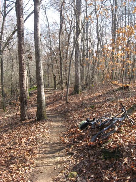 A winding dirt path through a forest with bare trees and scattered leaves on the ground. In the foreground, a bicycle is resting on the side of the trail. The scene is illuminated by natural sunlight, creating a peaceful, serene atmosphere. Hawkes Creek mountain bike trail.