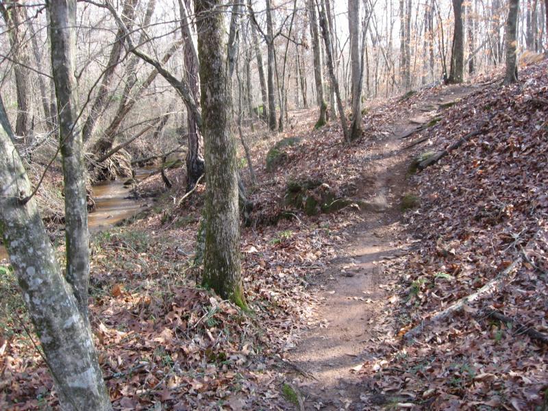 A peaceful hiking trail winding through a forest, surrounded by tall trees and scattered fallen leaves. A small stream runs alongside the path, creating a serene outdoor atmosphere. Hawkes Creek mountain bike trail.