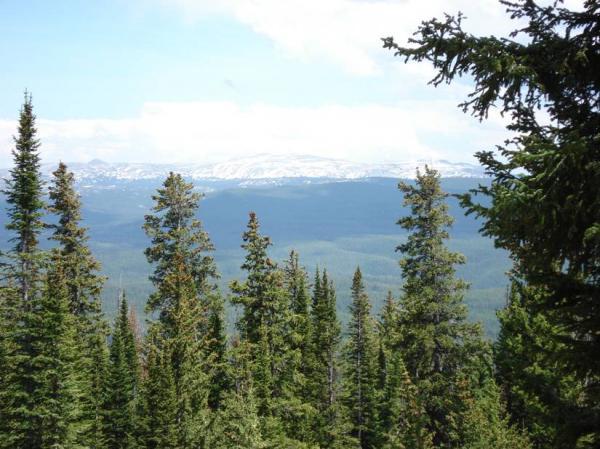 A panoramic view of a dense forest with tall evergreen trees in the foreground, overlooking a vast landscape of rolling hills and distant snow-capped mountains under a partly cloudy sky. Kennaday Peak Road mountain bike trail.