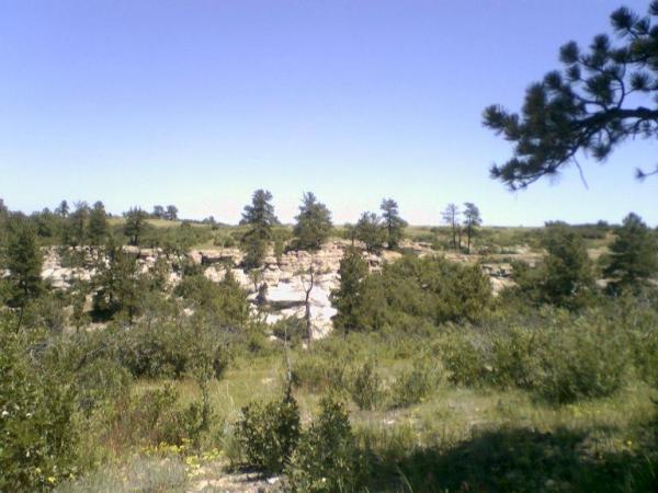 A scenic landscape featuring a rocky outcrop surrounded by greenery, with scattered pine trees against a clear blue sky. Wildcat Mountain / Monarch mountain bike trail.