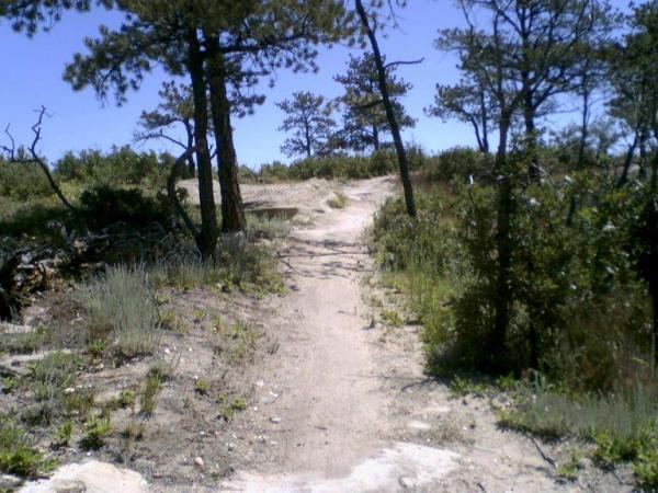 A dirt path winding through a natural landscape, lined with sparse vegetation and a few trees. The scene is bright and sunny, showcasing a clear blue sky. The trail appears to lead into a hilly area, suggesting an inviting setting for outdoor activities like hiking or walking. Wildcat Mountain / Monarch mountain bike trail.