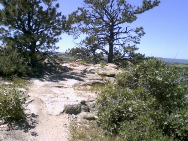 A rocky trail winding through a natural landscape featuring tall pine trees and shrubs under a clear blue sky. The terrain is rugged and provides a scenic view of the surrounding area. Wildcat Mountain / Monarch mountain bike trail.
