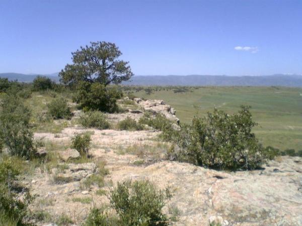 A rocky landscape featuring a solitary tree on a cliff edge, with green vegetation and rolling hills in the background under a clear blue sky. Wildcat Mountain / Monarch mountain bike trail.