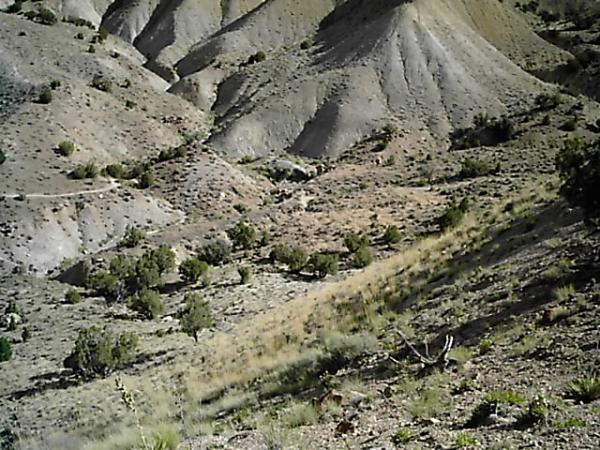 A rugged landscape featuring a series of sloping hills and valleys, characterized by dry, rocky terrain and sparse vegetation. Small patches of trees can be seen scattered throughout the area, contrasting with the earthy colors of the soil and rocks. The scene conveys a sense of remote wilderness and natural beauty. Edge Loop mountain bike trail.