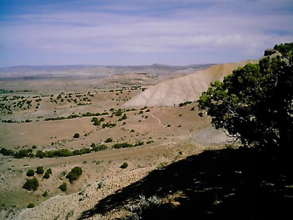 A panoramic view of a dry, rugged landscape featuring rolling hills and sparse vegetation under a partly cloudy sky. A solitary tree is visible in the foreground, while the distant hills layer in shades of brown and gray, suggesting a remote and arid environment. Edge Loop mountain bike trail.