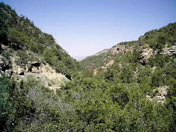 A scenic view of a green canyon with lush vegetation. Steep, rocky slopes frame the valley, while a clear blue sky stretches above. The distant hills are visible at the end of the canyon. Edge Loop mountain bike trail.